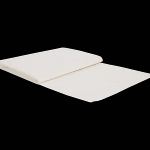 Spectrum Verfbenodigdheden^afdekzeil