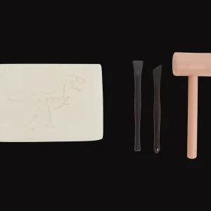 Action Spellen^Speelgoed opgraafkit