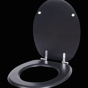 Action Badkamer & Toilet Accessoires^Toiletbril