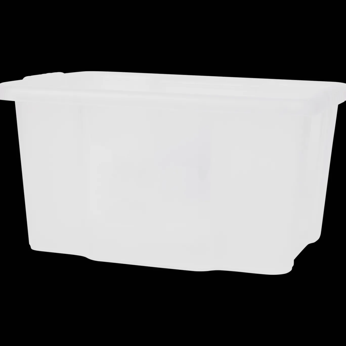 Action Opbergboxen^Tontarelli opbergbak