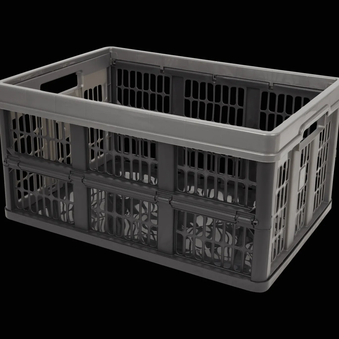 Action Opbergboxen^Tontarelli vouwkrat