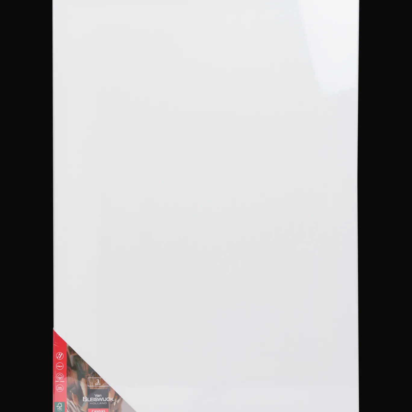 Van Bleiswijck Schilderen^canvasdoeken