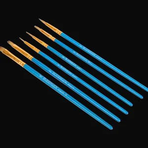 Van Bleiswijck Schilderen^penselenset