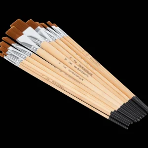 Van Bleiswijck Schilderen^penselenset