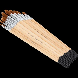 Van Bleiswijck Schilderen^penselenset