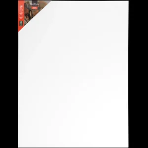 Van Bleiswijck Schilderen^schildersdoek