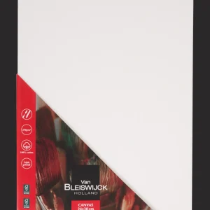 Van Bleiswijck Schilderen^schildersdoek