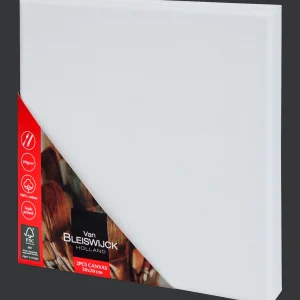 Van Bleiswijck Schilderen^schildersdoeken