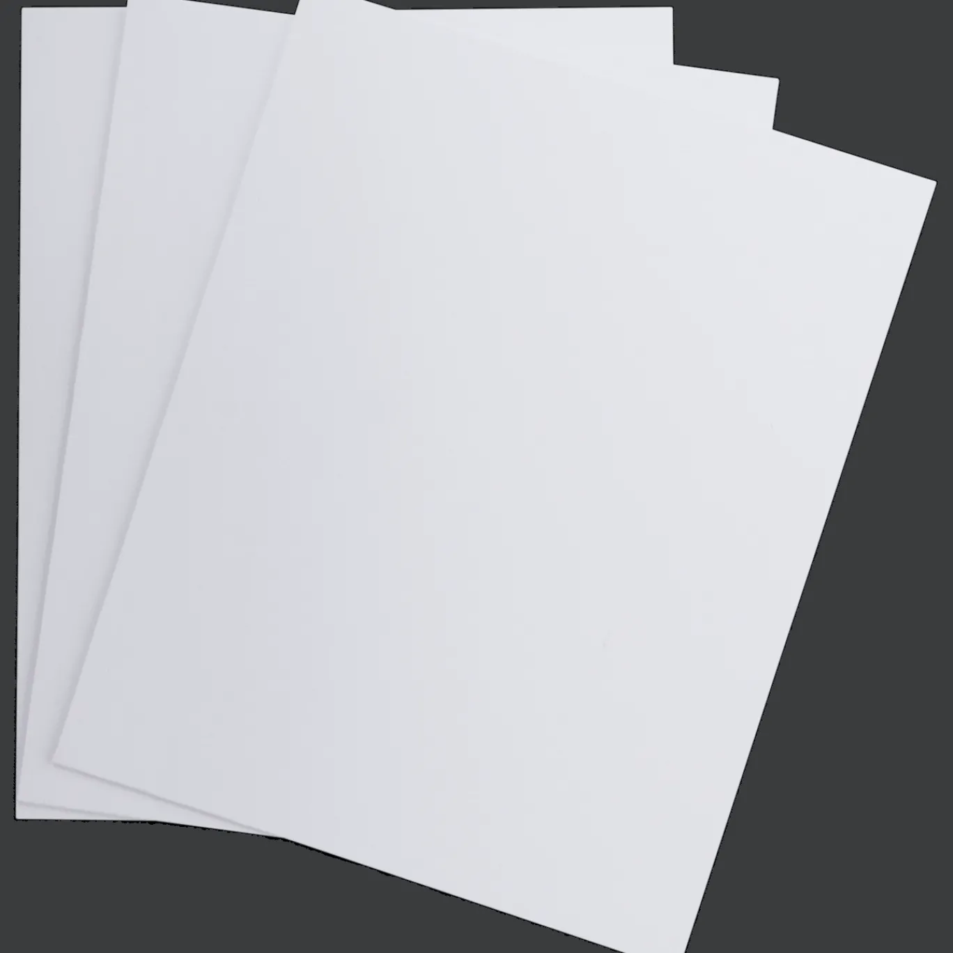 van_bleiswijck_schilderspanelen_1.webp Van Bleiswijck Schilderen^schilderspanelen