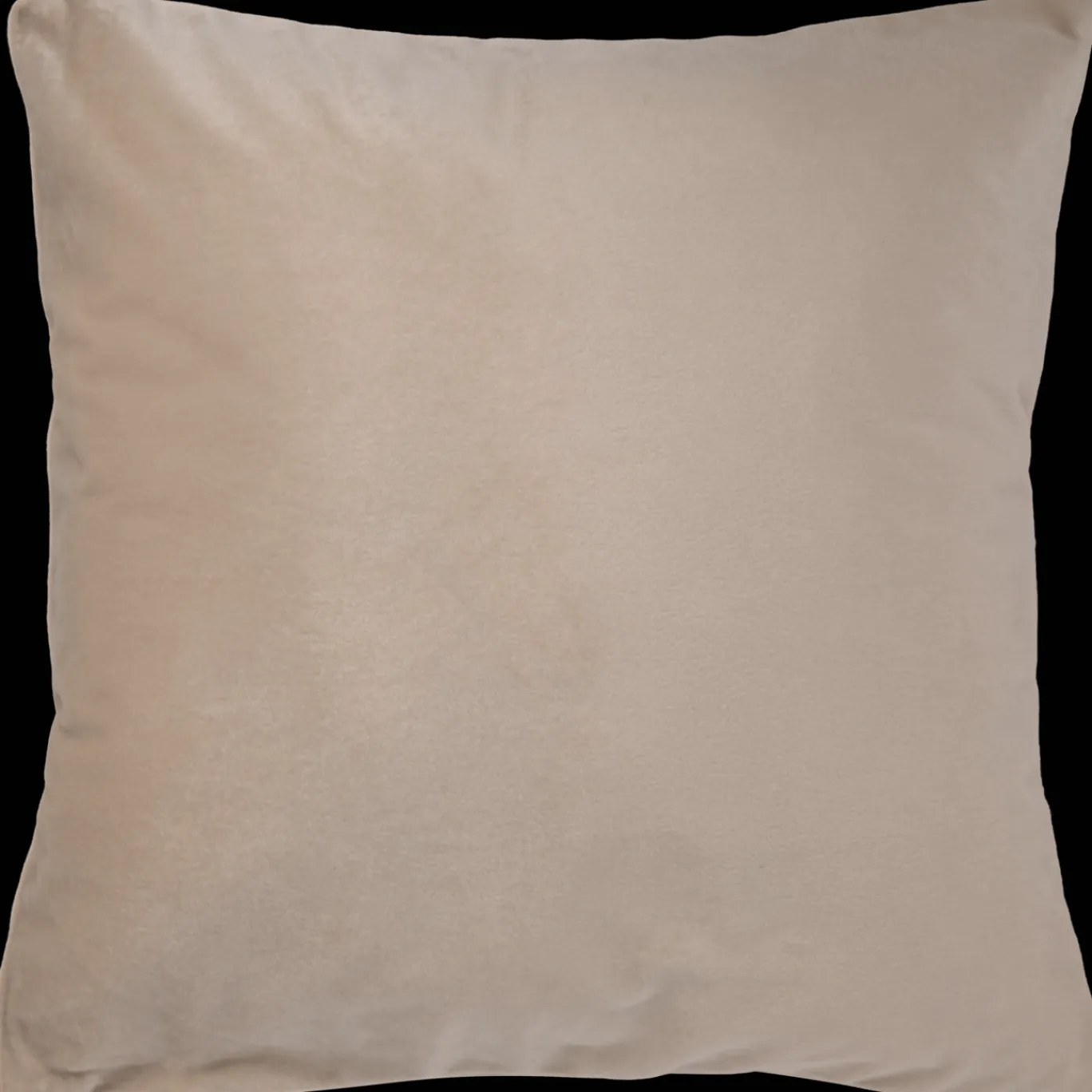 Action Kussens^Velvet kussen