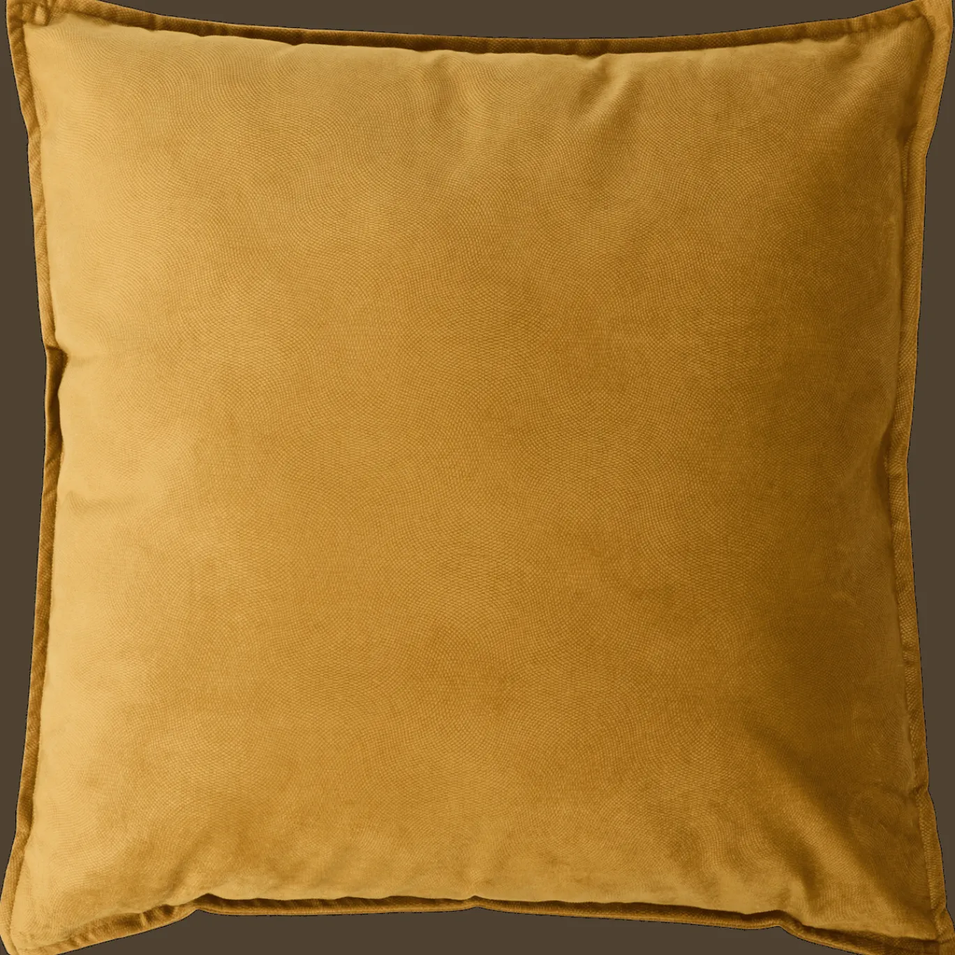 Action Kussens^Velvet sierkussen Lilou