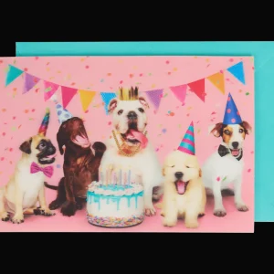 Action Kaarten^Wenskaart lenticulair met dieren