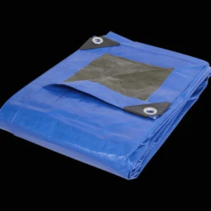 Werckmann Verfbenodigdheden^dekzeil