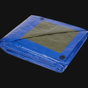 Werckmann Verfbenodigdheden^dekzeil