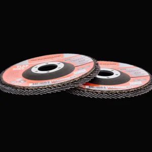 Werckmann Gereedschap^lamellenschijven